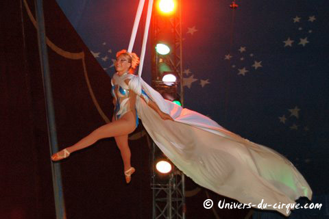 Il Circo di Venise