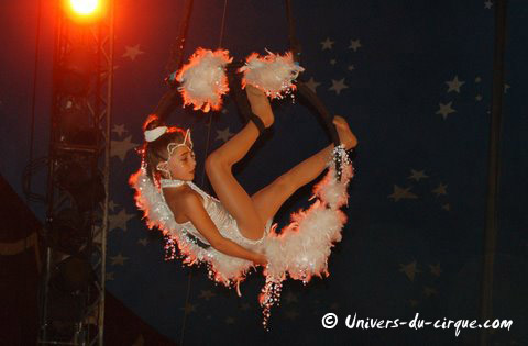 Il Circo di Venise