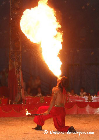 Il Circo di Venise