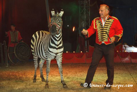 Il Circo di Venise