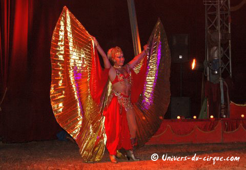 Il Circo di Venise