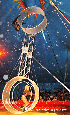 Il Circo di Venise