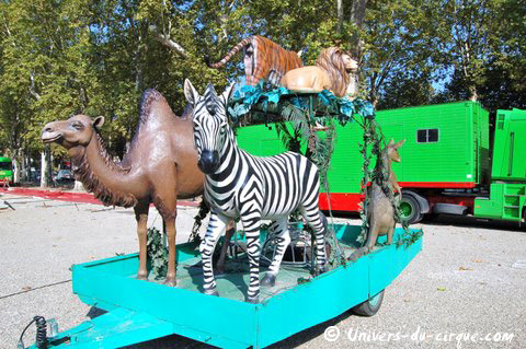Il Circo di Venise