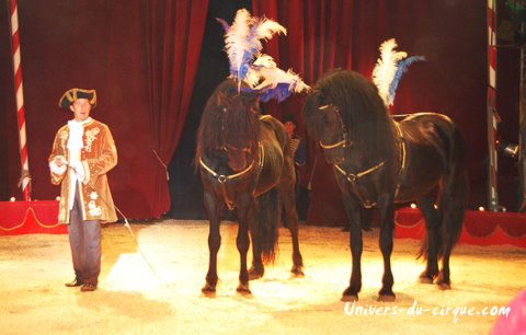 Il Circo di Venise