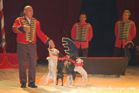 Il Circo di Venise