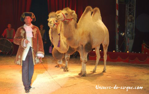 Il Circo di Venise
