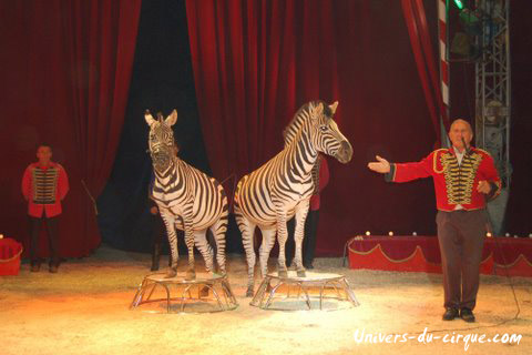 Il Circo di Venise