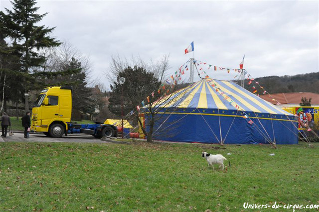 Cirque Loyal Show