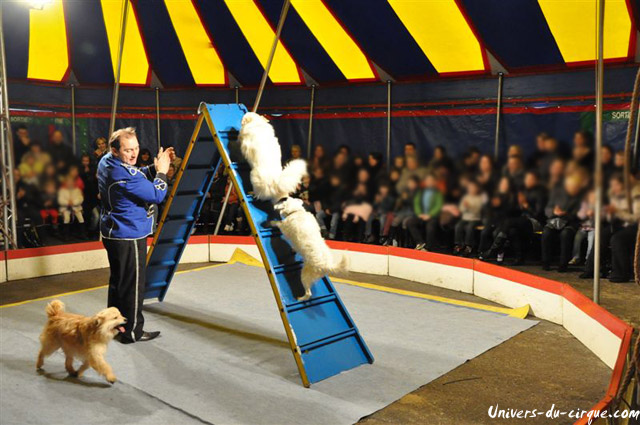 Cirque Loyal Show
