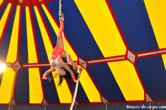 Cirque Loyal Show