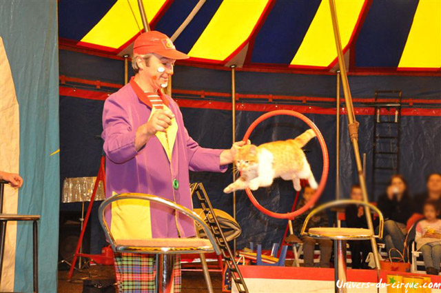 Cirque Loyal Show