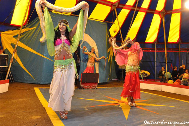 Cirque Loyal Show