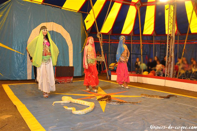Cirque Loyal Show