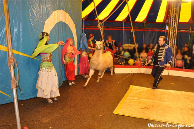 Cirque Loyal Show