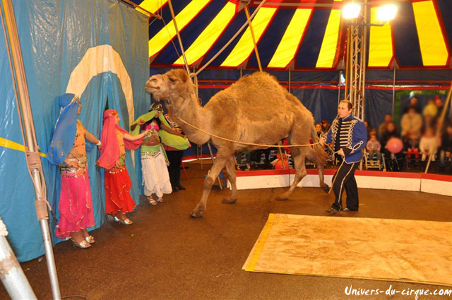 Cirque Loyal Show