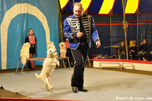 Cirque Loyal Show