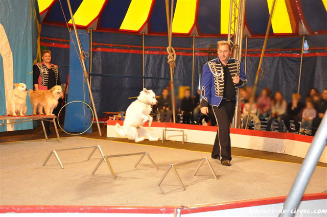 Cirque Loyal Show