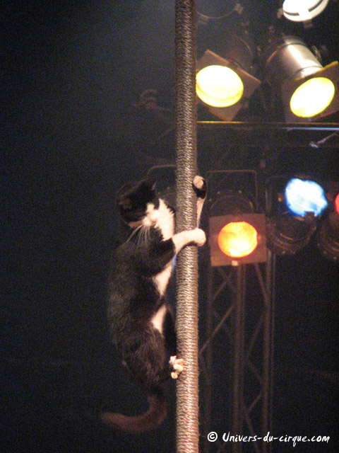 Cirque Lydia Zavatta