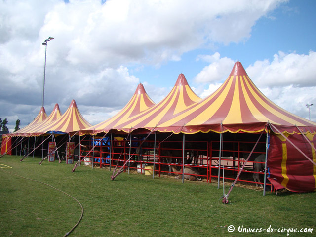 Cirque Lydia Zavatta