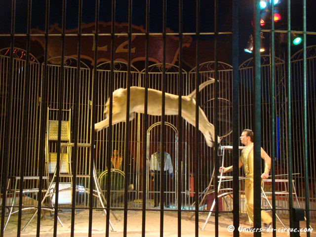 Cirque Lydia Zavatta