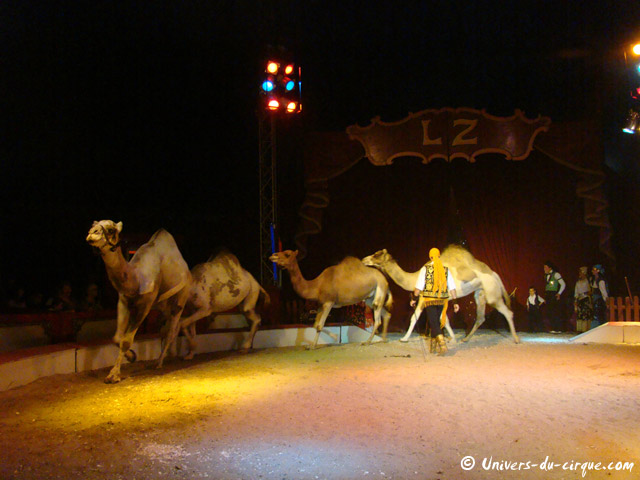 Cirque Lydia Zavatta
