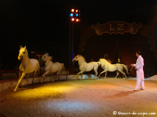 Cirque Lydia Zavatta
