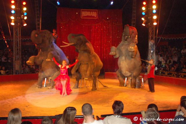 Cirque Medrano