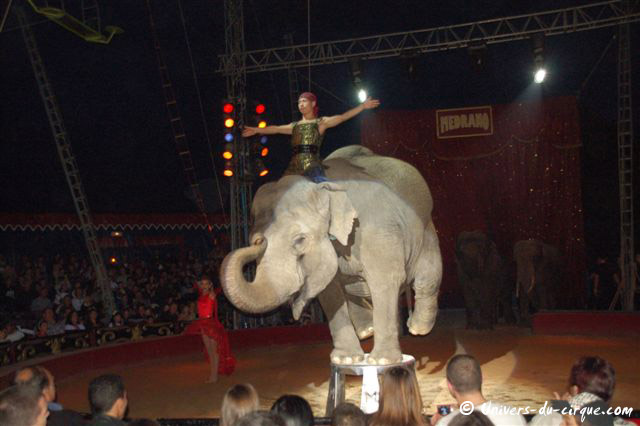Cirque Medrano
