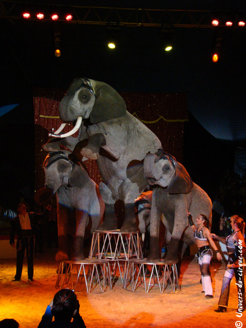 Cirque Medrano
