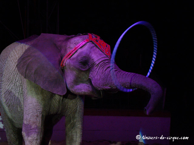 Cirque Medrano
