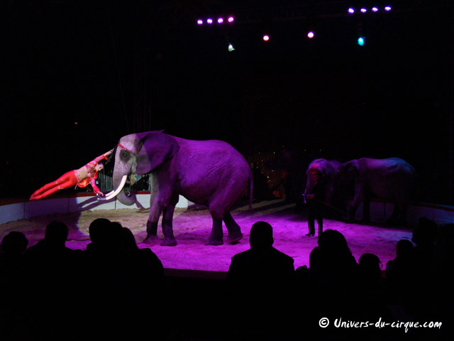 Cirque Medrano