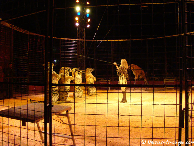 Cirque Medrano