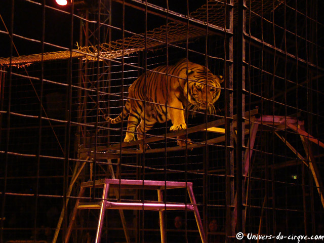 Cirque Medrano