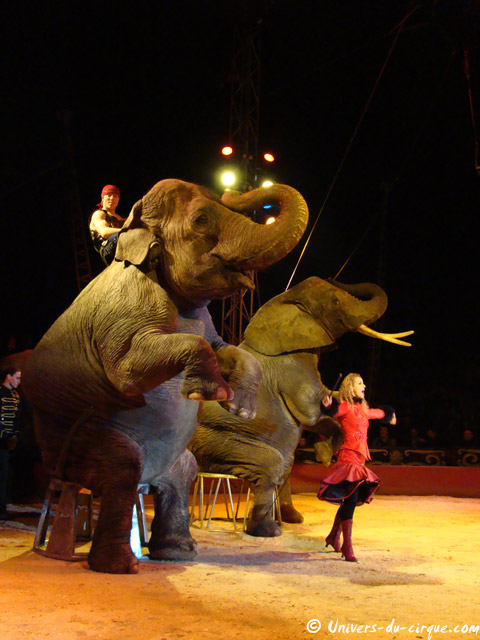 Cirque Medrano