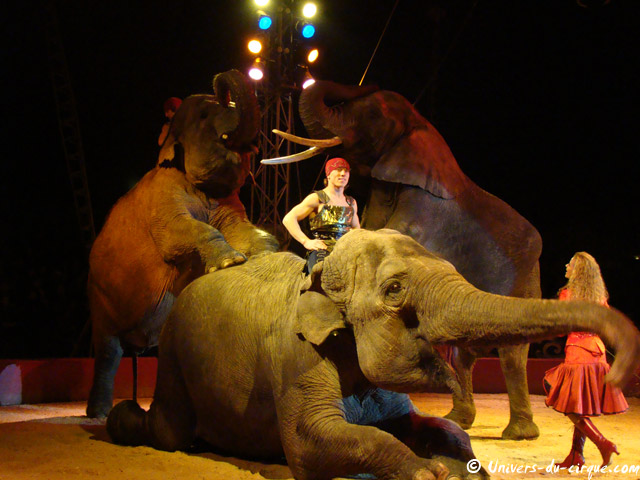 Cirque Medrano