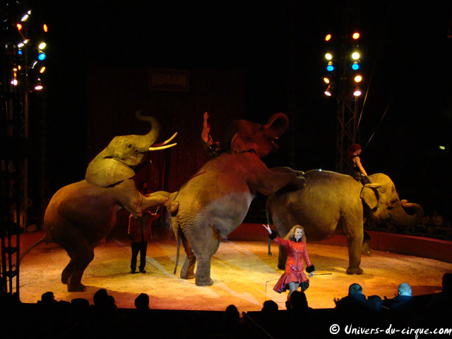 Cirque Medrano