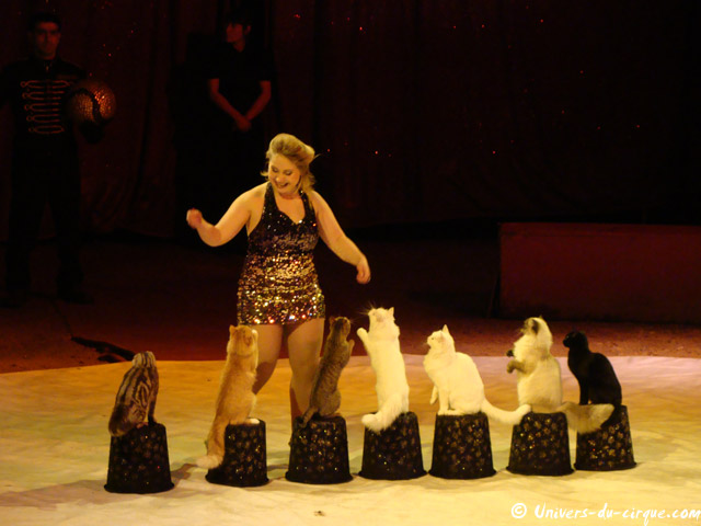 Cirque Medrano