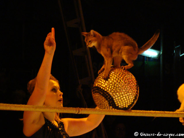 Cirque Medrano