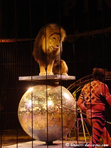 Cirque Pinder