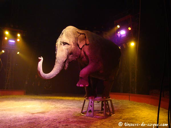Cirque Pinder