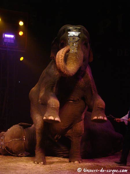 Cirque Pinder