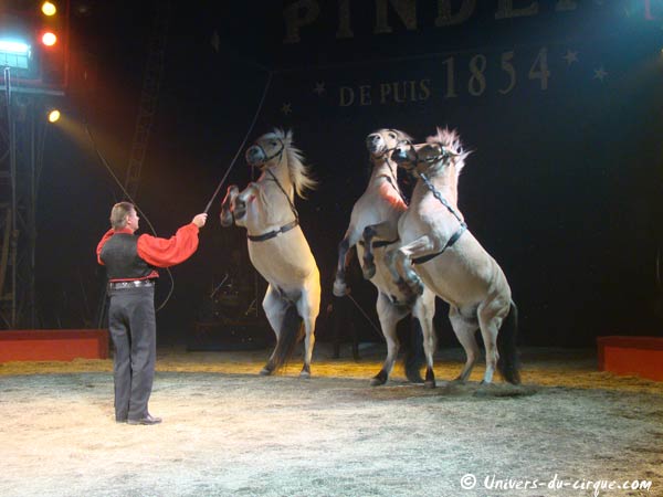 Cirque Pinder