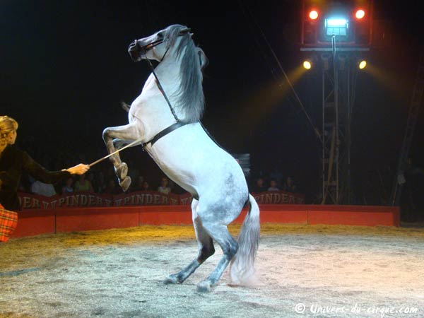 Cirque Pinder