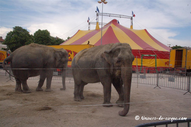 Cirque Pinder