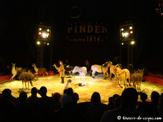 Cirque Pinder