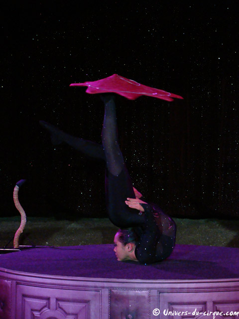 Cirque Pinder