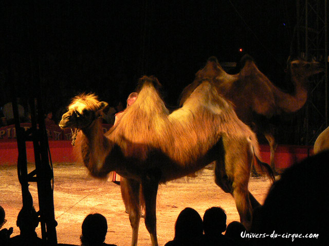 Cirque Pinder