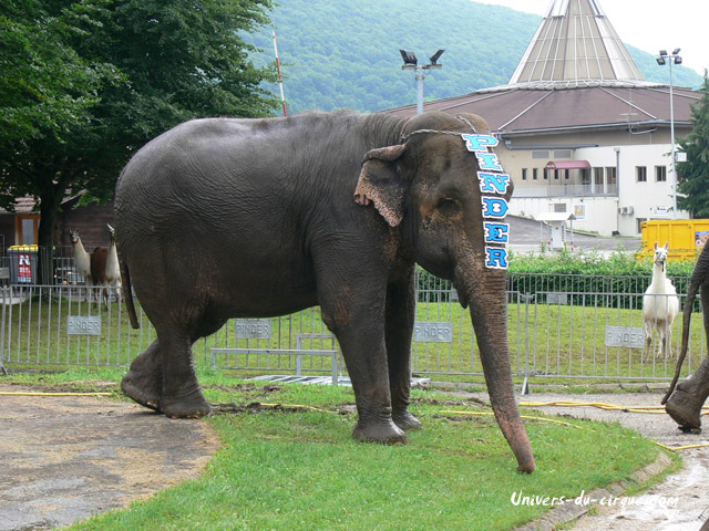 Cirque Pinder