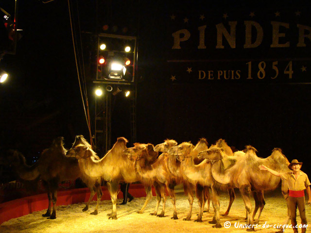 Cirque Pinder