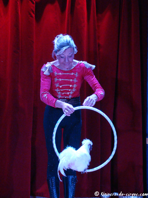 Cirque Star